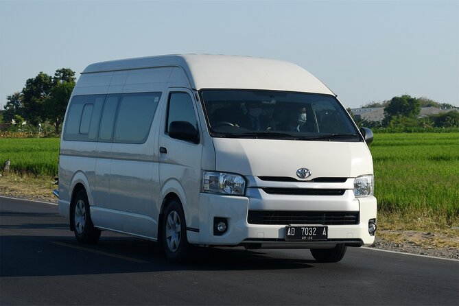 1-Day Private Bali Car Transfer With Experienced Driver - East Bali Temple Runs: Besakih, Tirthagangga, and Pura Lempuyang