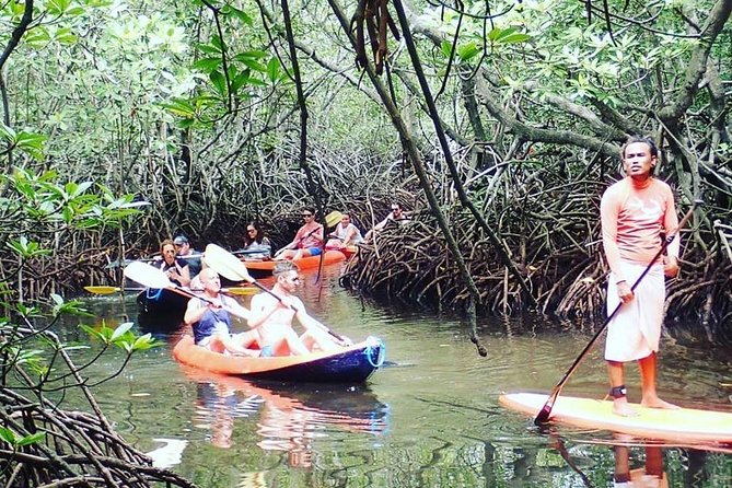 1 Hour Mangrove Tour From Lembongan with Kayak, Paddle, or Boat - Why this one-hour mangrove paddle is such good value