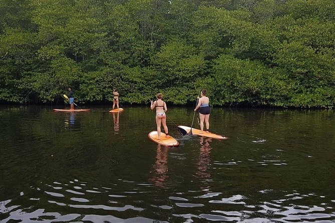 1 Hour Mangrove Tour From Lembongan with Kayak, Paddle, or Boat - What to bring (and what you might not need to worry about)