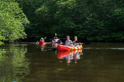 1 Hour Mangrove Tour From Lembongan with Kayak, Paddle, or Boat - Getting picked up in Lembongan (and where you start)