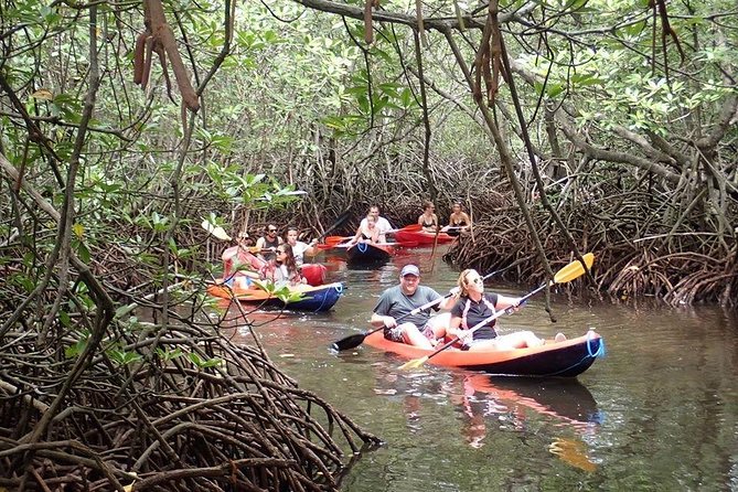 1 Hour Mangrove Tour From Lembongan with Kayak, Paddle, or Boat - What kind of traveler this suits best