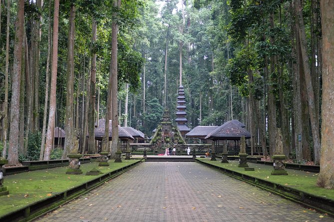2-Day Private Sightseeing Tour of Bali with Hotel Pickup - Day 1 coffee plantation and Mt. Batur (Kintamani) caldera viewpoint