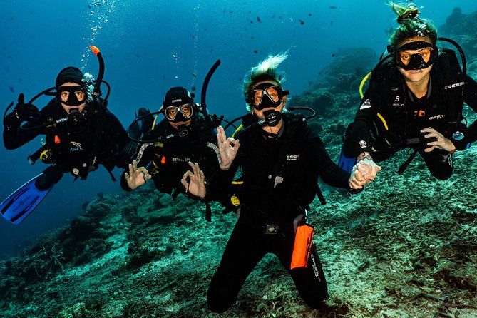2 Days Discover Scuba Diving in Nusa Lembongan - Scuba Initiation - Manta Rays, Turtles, Octopus: What You’re Likely Chasing