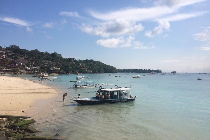 2 or 3 dives in Nusa Lembongan and Penida, for certified diver (in Lembongan) - Mantas nearly guaranteed, sunfish in season: how to think about sightings