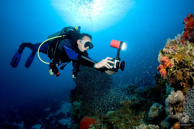 2 or 3 dives in Nusa Lembongan and Penida, for certified diver (in Lembongan) - Gear, cameras, and the small fees you should plan for