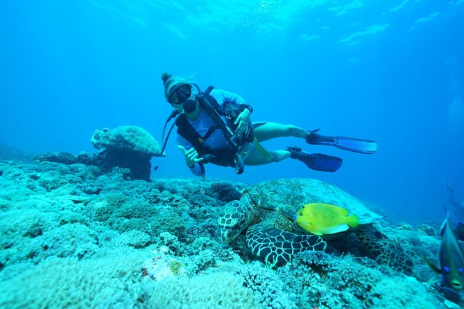 2 or 3 dives in Nusa Lembongan and Penida, for certified diver (in Lembongan) - The underwater rhythm: 2 or 3 sessions, with a real rest break