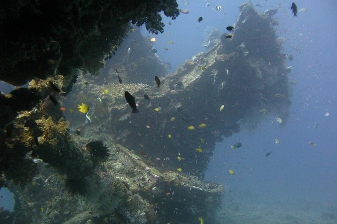 2 PADI Certified Dives at Tulamben from Bali - The Morning Plan: Coral Garden Under PADI Guidance