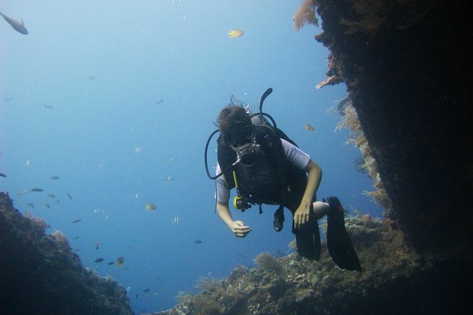 2 PADI Certified Dives at Tulamben from Bali - Certifications, Medical Checks, and the Real Safety Stuff