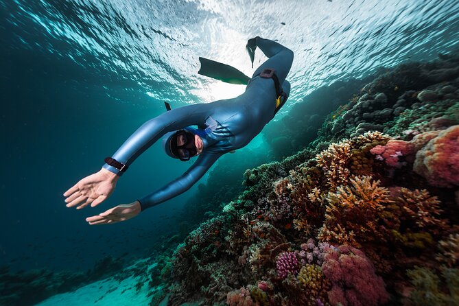 3-Day Freediving Level 1 Course - Key highlights that matter in real life