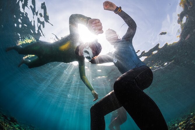 3-Day Freediving Level 1 Course - Open ocean days: coral, tropical fish, and photo take-home moments
