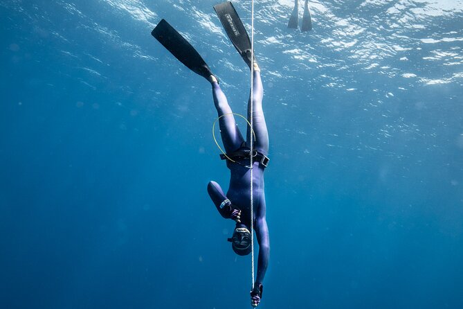 3-Day Freediving Level 1 Course - Gear, certification, and digital materials: what’s included and what’s not