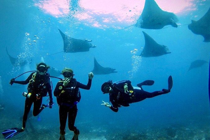 3 Epic Dives in Nusa Penida - Certified Divers' Day Trip - Key things that make this Penida day feel worth it