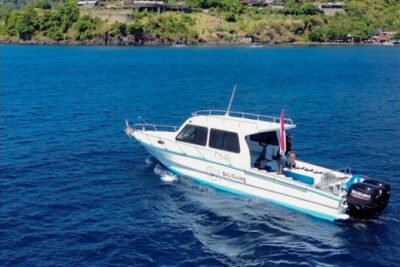 3 Epic Dives in Nusa Penida - Certified Divers' Day Trip - Getting to Sanur and onto the speed boat