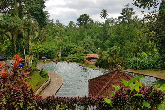 4-Hour Private Tour in Jatiluwih Terraces and Butterfly Park - Penatahan Waterspring / hot spring stop: when relaxation fits