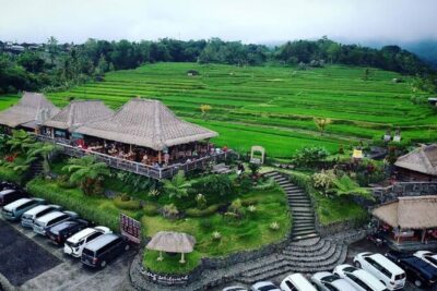 4-Hour Private Tour in Jatiluwih Terraces and Butterfly Park - Jatiluwih Green Land: UNESCO rice terraces and the coconut moment