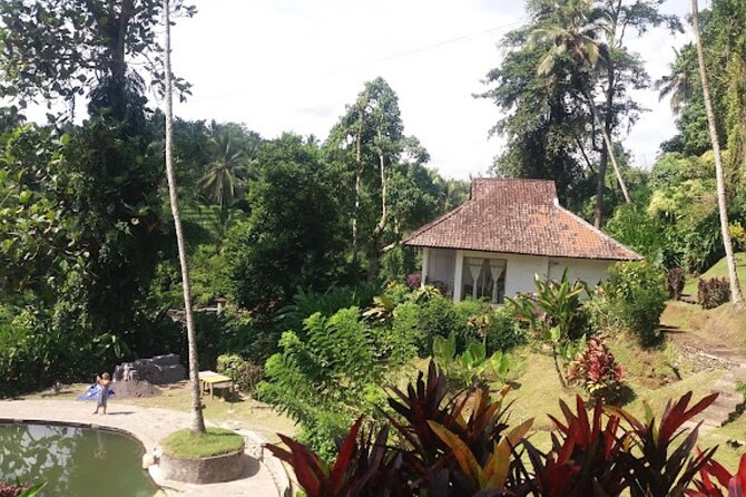4-Hour Private Tour in Jatiluwih Terraces and Butterfly Park - The driver’s role in Bali: smart shortcuts and easy flow
