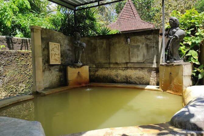 4-Hour Private Tour in Jatiluwih Terraces and Butterfly Park - Price and value: is $70 a fair deal for this Bali mix?