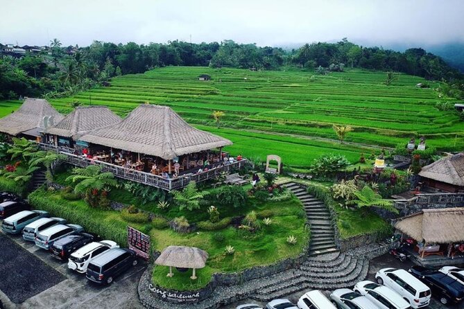 4-Hour Private Tour in Jatiluwih Terraces and Butterfly Park - Jatiluwih Green Land: UNESCO rice terraces and the coconut moment