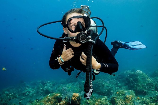7 Fun Dives in Nusa Lembongan (for certified divers) - Premium Value Package - Mangrove Point and Toyapakeh: adding variety to your underwater week