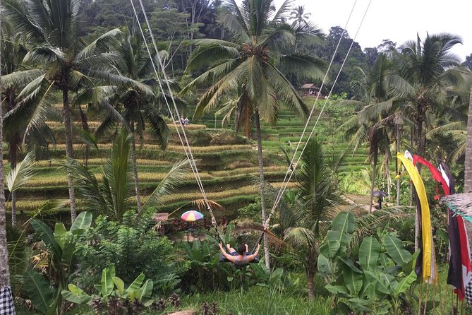 Adventures Tour : Bali Hidden Canyon Trekking - Beji Guwang - Hidden Canyon trekking at Beji Guwang: the real reason to go