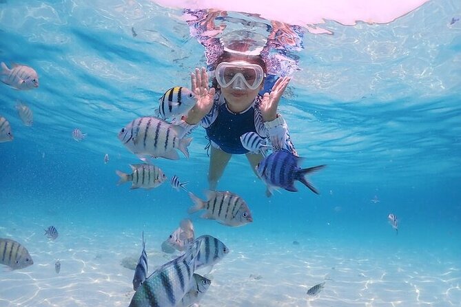 (ALL- IN) Bali Snorkeling Blue Lagoon with Waterfall Visit - Tegenungan waterfall visit: gorgeous views, no swimming