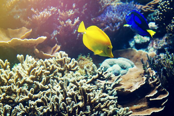 All Inclusive Bali Blue Lagoon Snorkeling with Lunch and Transport - Lunch at the Blue Lagoon area, then Bias Tugel for scenic beach time