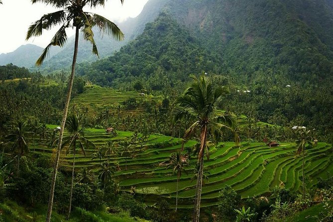 All inclusive Bali Sekumpul Waterfalls Trekking Tour - Fili (Fiji) Waterfalls: four cascades and spring-fed details