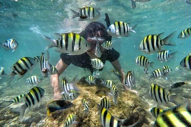 All Inclusive Bali Snorkeling Blue Lagoon tour experience - Bias Tugel Beach at 15:00: Sun Time Without Overthinking It