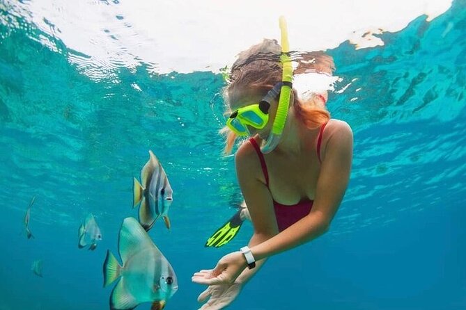 All Inclusive Blue Lagoon Snorkeling with Bali ATV Quad Adventure - Blue Lagoon snorkeling: coral, fish, and turtle luck