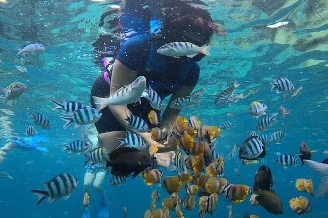 All Inclusive Blue Lagoon Snorkeling with Bali ATV Quad Adventure - Price and booking timing: getting the best value