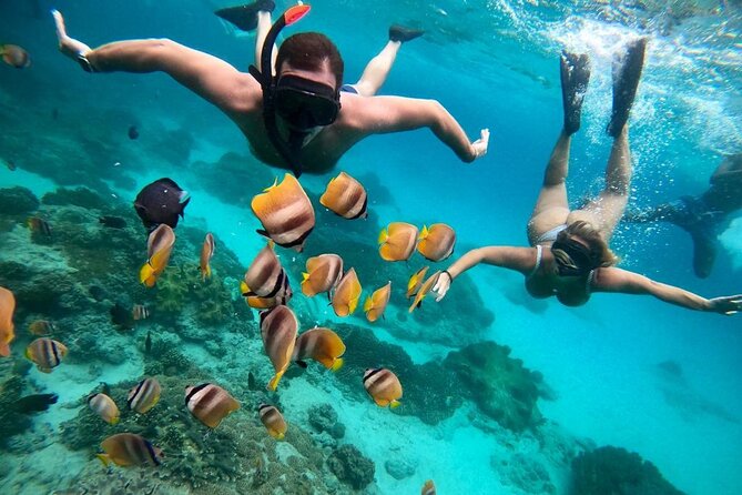 All Inclusive Blue Lagoon Snorkeling with Bali ATV Quad Adventure - Practical tips for a smoother day in Bali