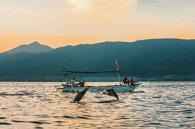 All inclusive Lovina Dolphins Sunrise tour, Waterfall & Temple - What’s included (and why this tour can feel good value)