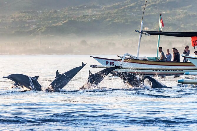 All inclusive Lovina Dolphins Sunrise tour, Waterfall & Temple - Time and pace: the 8-10 hour reality check