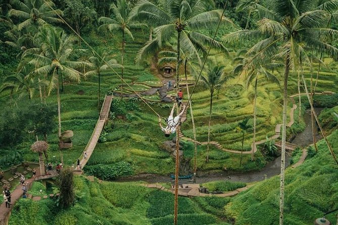 All inclusive Private 3 day tours package : Bali highlights - Day 1: Batuan Temple, art villages, Batur Volcano, and Ubud monkeys
