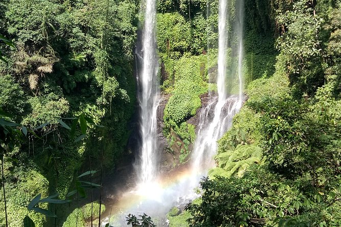 All Inclusive Sekumpul Waterfall Trekking , Handara Gate & Temple - Lunch, coconut water, and staying powered for the trek