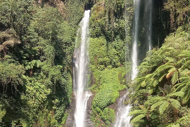 All Inclusive Sekumpul Waterfall Trekking , Handara Gate & Temple - Who this tour suits best
