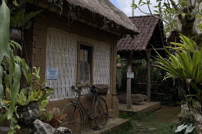 All Inclusive Ubud Cultural and Natural Highlights Tour - Seminyak pickup and how the day typically unfolds