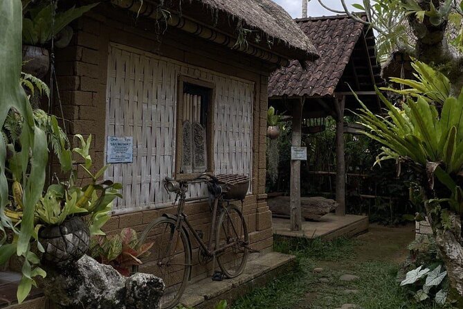All Inclusive Ubud Cultural and Natural Highlights Tour - Stop 2: Sacred Monkey Forest Sanctuary and the reality of macaques