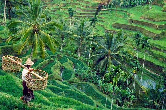 All inclusive Ubud private tour - Key highlights at a glance