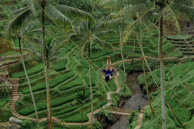 All inclusive Ubud private tour - Tegalalang Rice Terrace: classic views and farmers working the slopes