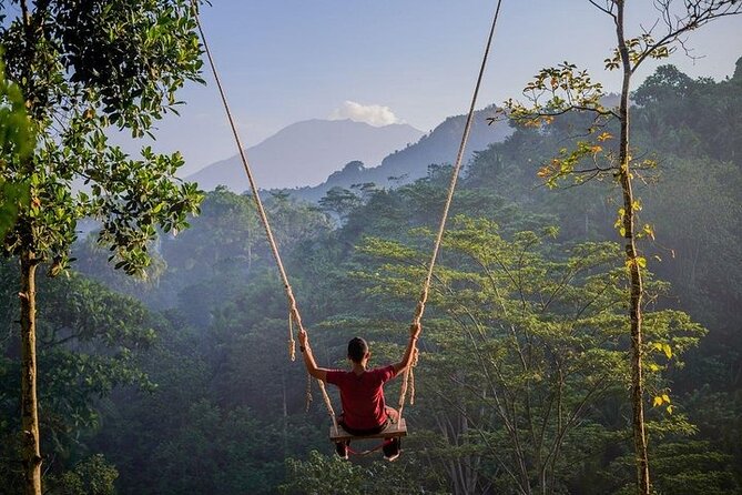 All Inclusives Bali Private Tour Temples Palaces and Nature - East Bali from Kuta: a long but photo-focused private day