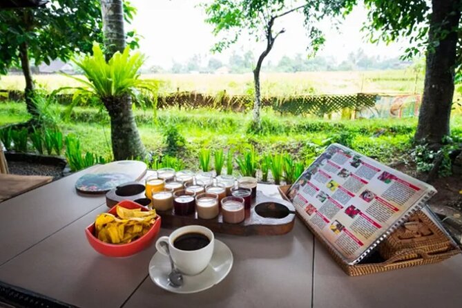 All Inclusives Bali Private Tour Temples Palaces and Nature - Who this tour suits best (and who may want a different plan)