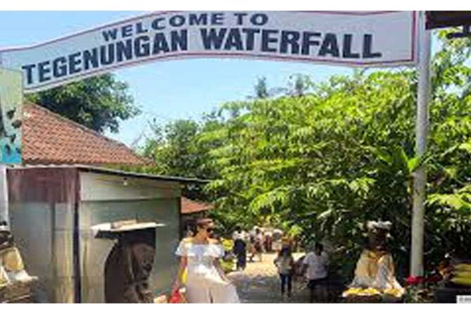 All Ticket Inclusive-Blue Lagoon Snorkeling-Ubud Monkey Forest & Ubud Waterfall - A full Bali day without the headache: pickup, pacing, and timing