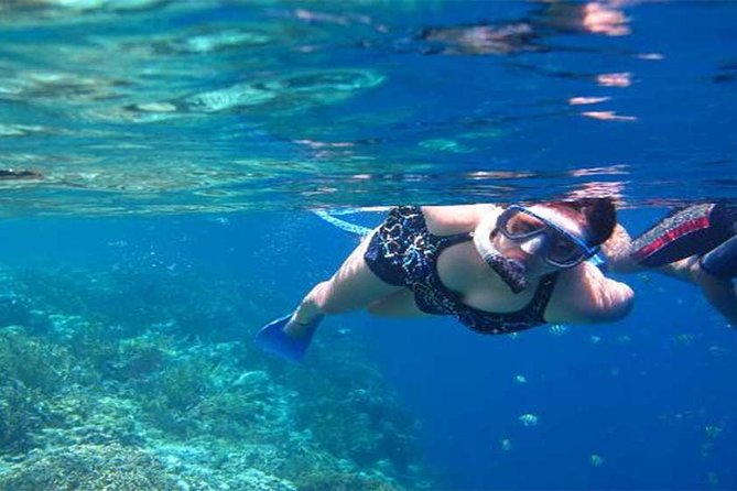 All Ticket Inclusive-Blue Lagoon Snorkeling-Ubud Monkey Forest & Ubud Waterfall - Blue Lagoon Beach snorkeling near Padangbai: what you’ll likely see