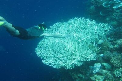 All Ticket Inclusive-Blue Lagoon Snorkeling-Ubud Monkey Forest & Ubud Waterfall - Lunch, showers, and the small comforts that make a long day work