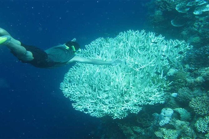 All Ticket Inclusive-Blue Lagoon Snorkeling-Ubud Monkey Forest & Ubud Waterfall - Lunch, showers, and the small comforts that make a long day work