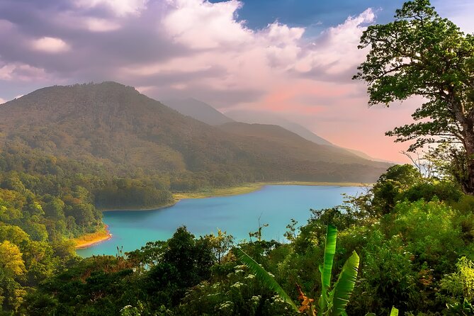 Amazing Bali Dolphin Watching Trip Experience - Private transport from Seminyak (and nearby) without the hassle