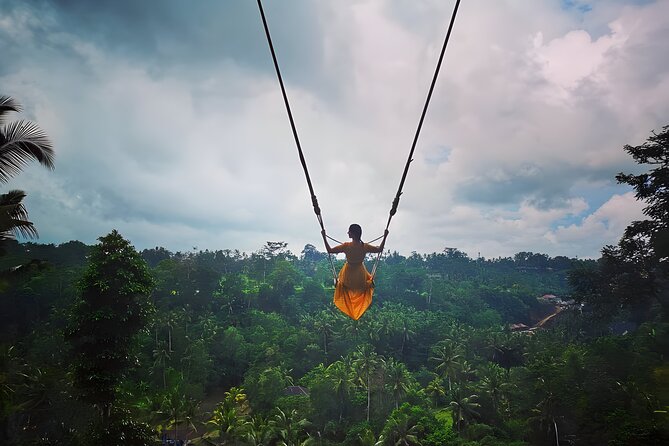 Amazing Bali Swing Experience with Ubud Full Day Tour - Tegalalang Rice Terrace and Tegenungan Waterfall: two kinds of scenery