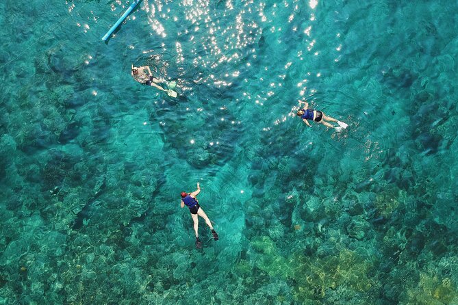 Amazing Blue Lagoon Snorkeling with Private Hotel Transfer - Who this tour is perfect for (and who should rethink it)