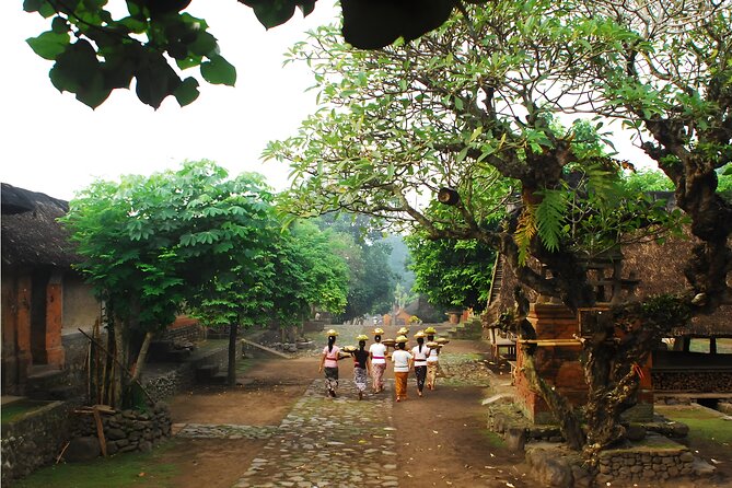 Amazing Private East Bali Full-Day Tour - Stop 4: Tirta Gangga Water Palace (Tirtagangga Park)
